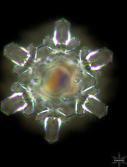 Arctica mit HPG, Osmoseanlage mit Wasserstoff - Mein-Wasserfilter.com