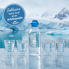 Bei Arktisquelle Wasserfilteranlage ist das 4-teilige Glaskaraffen-Set „Harmony“ gratis dabei.