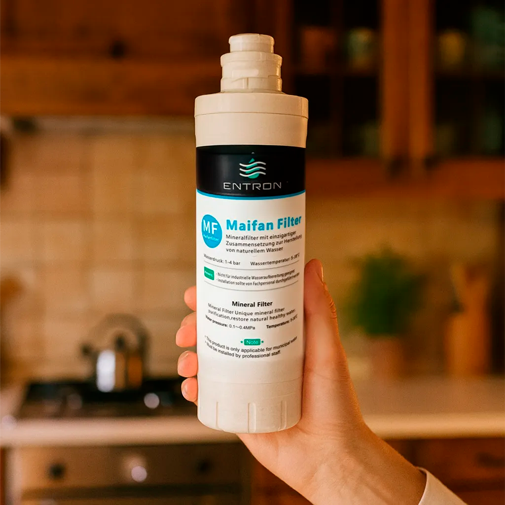 Der Ersatzfilter Maifan Mineralfilter für die Entron F-Serie: Haltend in einer Hand in warmer Küche mit Holzelementen