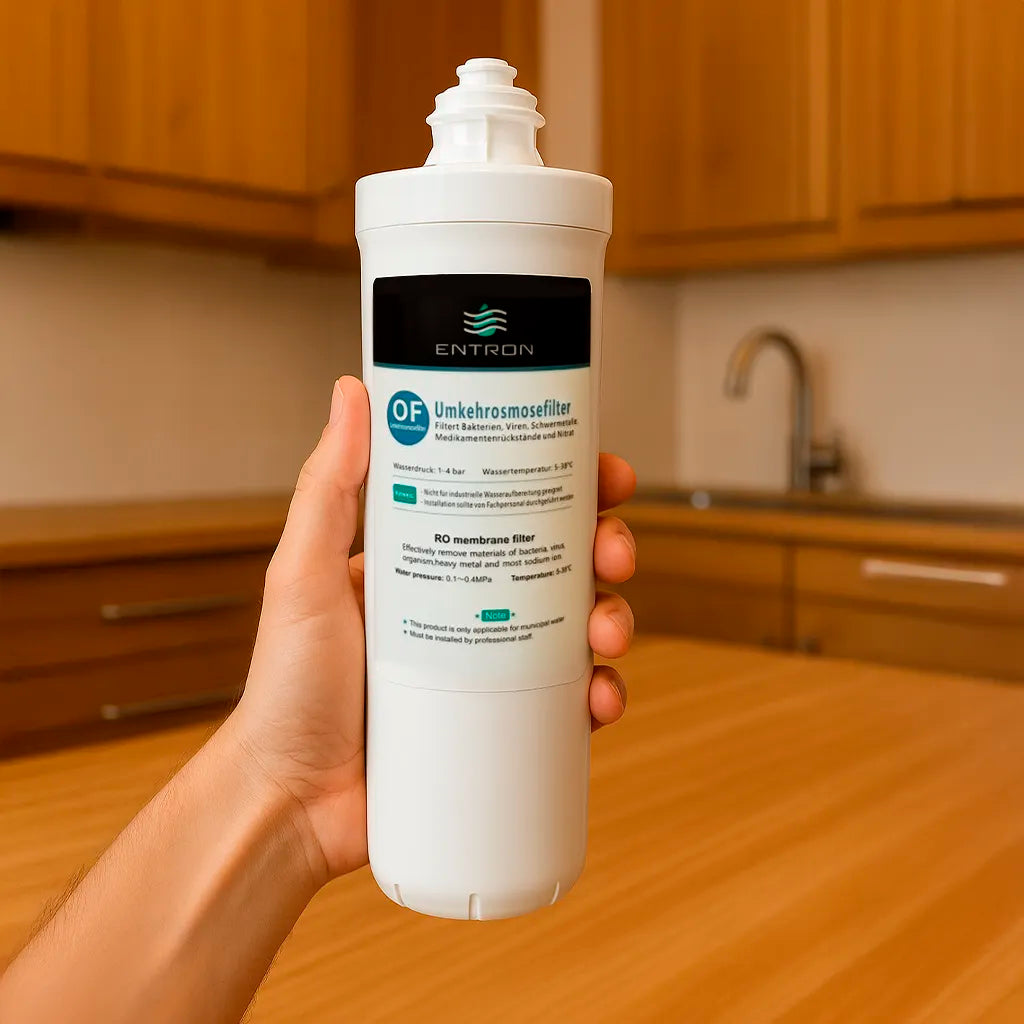 Der Ersatzfilter RO Membran Umkehrosmosefilter für die Entron F-Serie: Haltend in einer Hand in warmer Küche