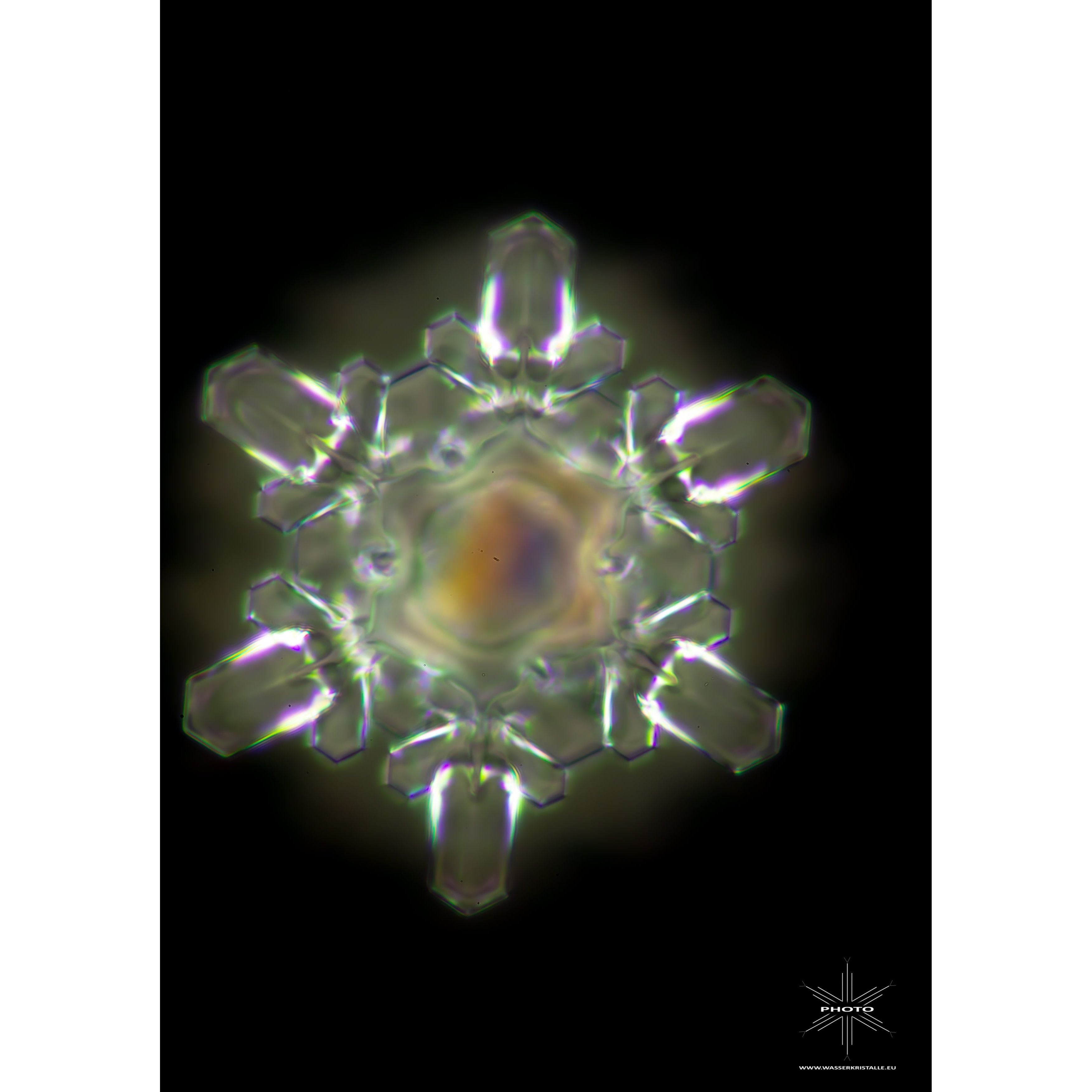 MisterWater, Arctica ,Wasserfilter