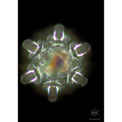 MisterWater, Arctica ,Wasserfilter