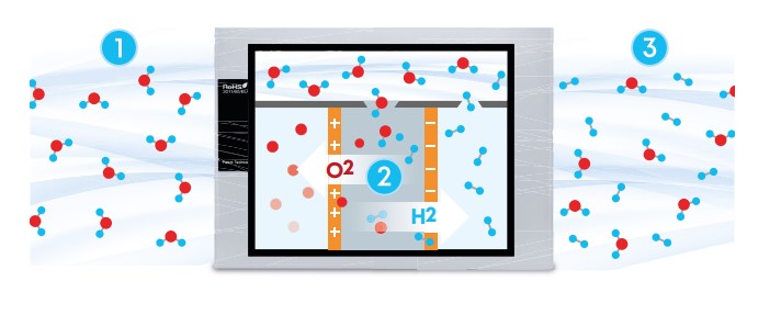 EVObooster Wasserstoffgenerator - Mein-Wasserfilter.com